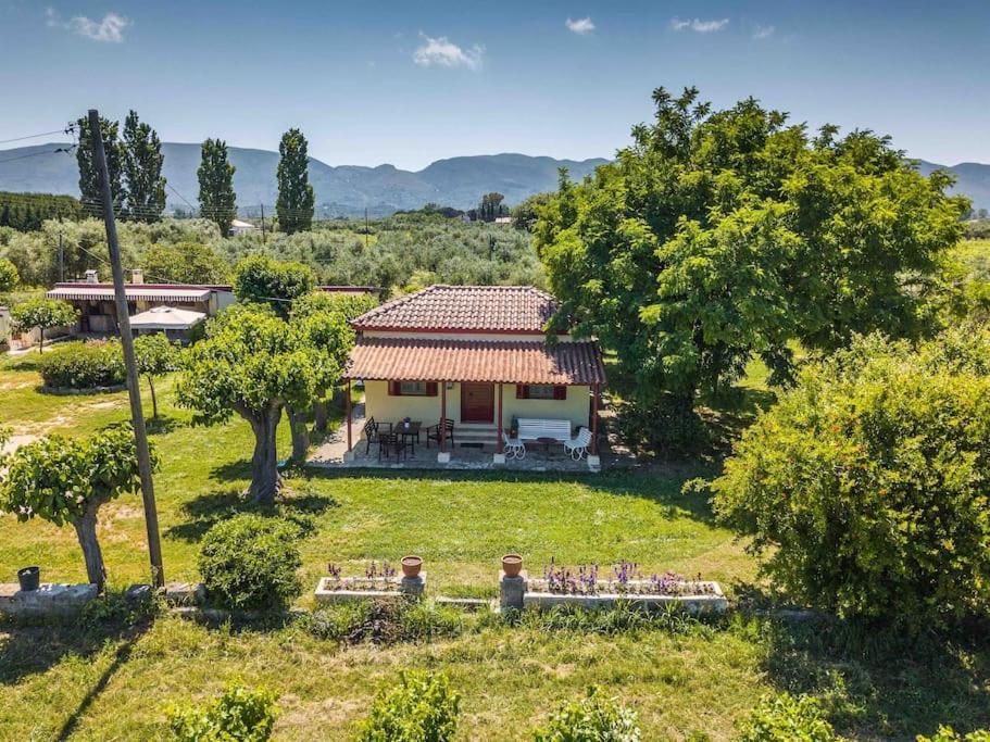 Authentic Country House In Zakynthos Ambelokipoi  Extérieur photo